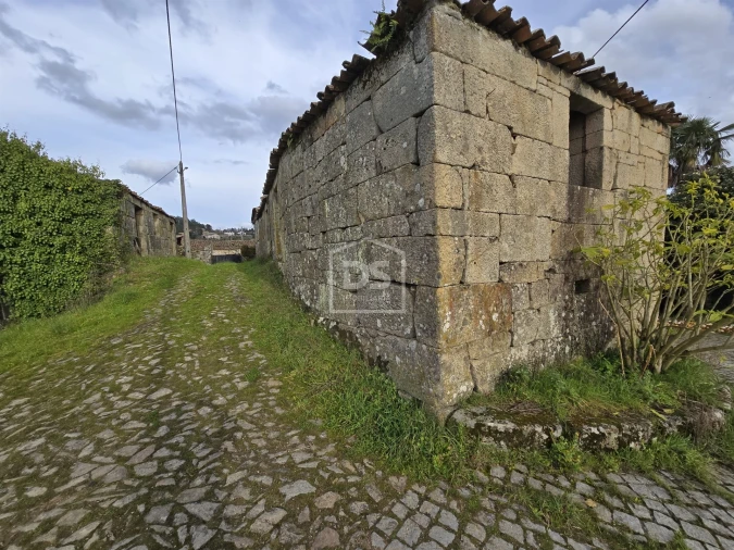 Terreno Misto para Venda em São Pedro do Sul, Várzea e Baiões Foto 12
