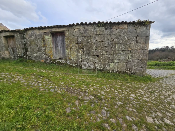 Terreno Misto para Venda em São Pedro do Sul, Várzea e Baiões Foto 2