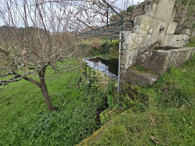 Terreno Misto para Venda em São Pedro do Sul, Várzea e Baiões Foto 6
