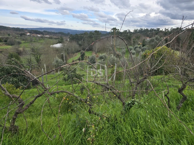 Terreno Misto para Venda em São Pedro do Sul, Várzea e Baiões Foto 25