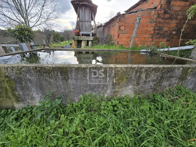 Terreno Misto para Venda em São Pedro do Sul, Várzea e Baiões Foto 22