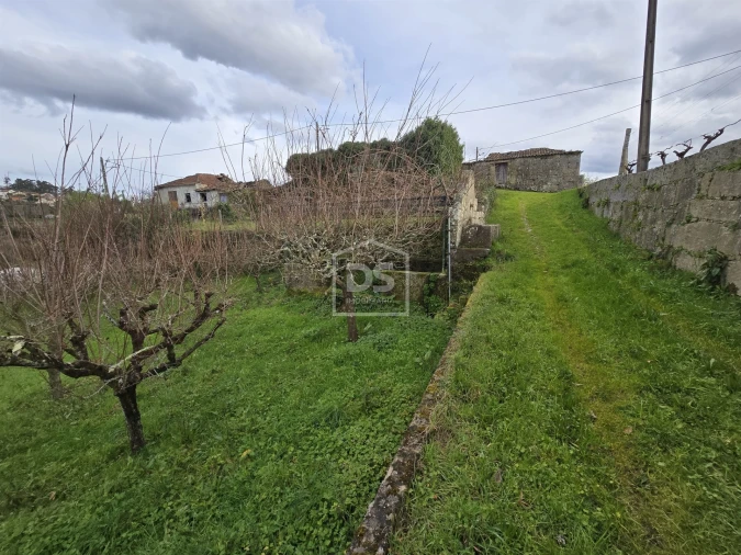 Terreno Misto para Venda em São Pedro do Sul, Várzea e Baiões Foto 5