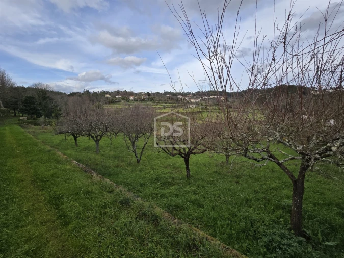Terreno Misto para Venda em São Pedro do Sul, Várzea e Baiões Foto 9
