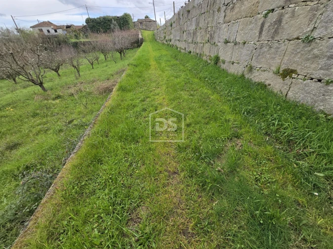 Terreno Misto para Venda em São Pedro do Sul, Várzea e Baiões Foto 8