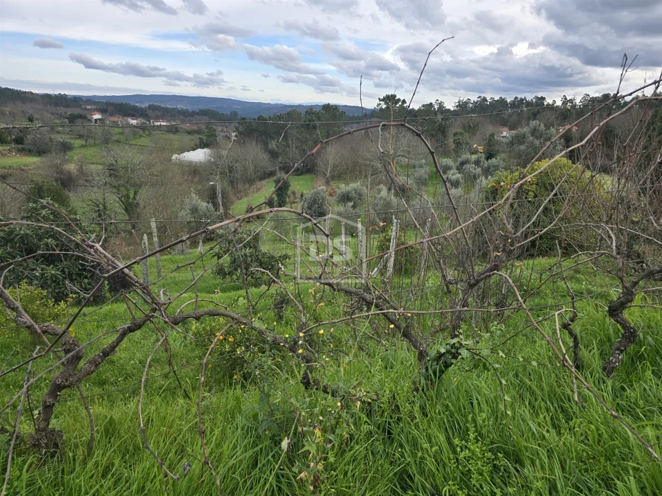 Terreno Misto para Venda em São Pedro do Sul, Várzea e Baiões Foto 25
