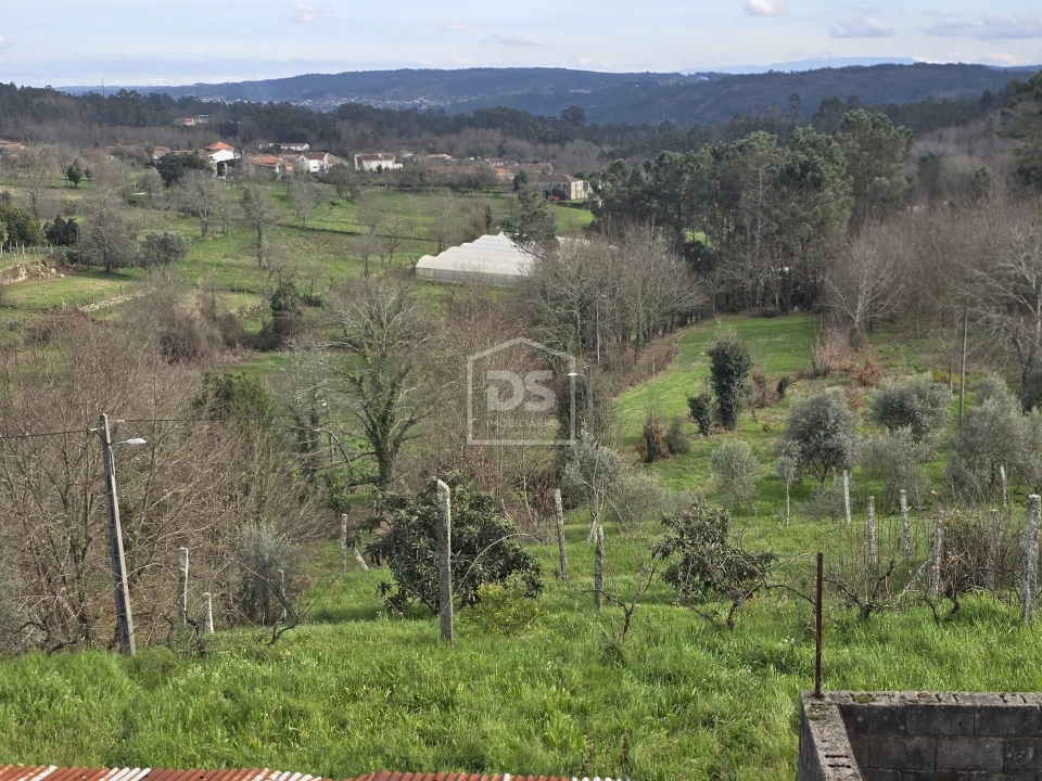 Terreno Misto para Venda em São Pedro do Sul, Várzea e Baiões Foto 50