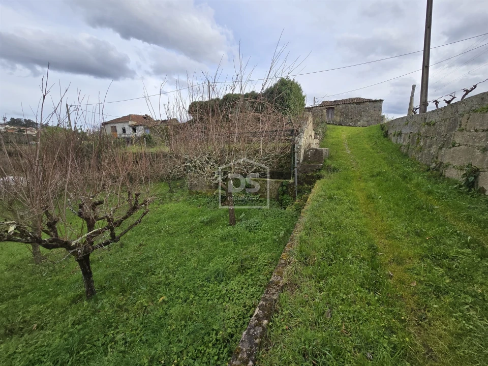 Terreno Misto para Venda em São Pedro do Sul, Várzea e Baiões Foto 5
