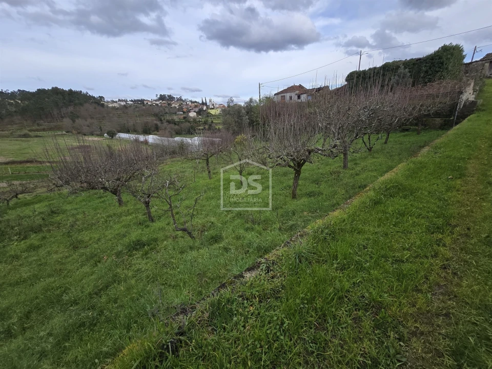 Terreno Misto para Venda em São Pedro do Sul, Várzea e Baiões Foto 3
