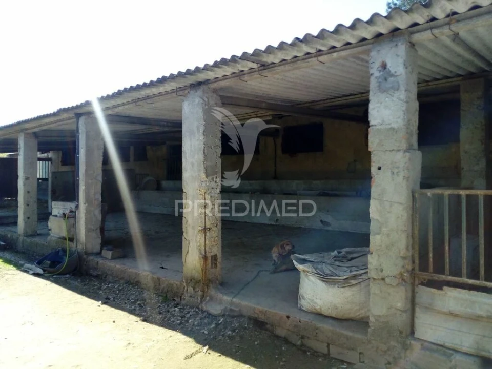 Quinta T2 para Venda em Povoa da Isenta Foto 16