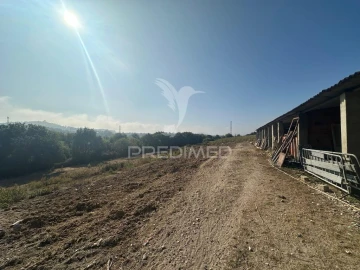 Quinta T2 para Venda em Povoa da Isenta