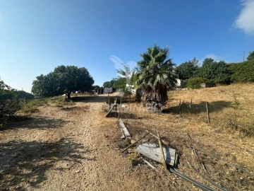 Quinta T2 para Venda em Povoa da Isenta