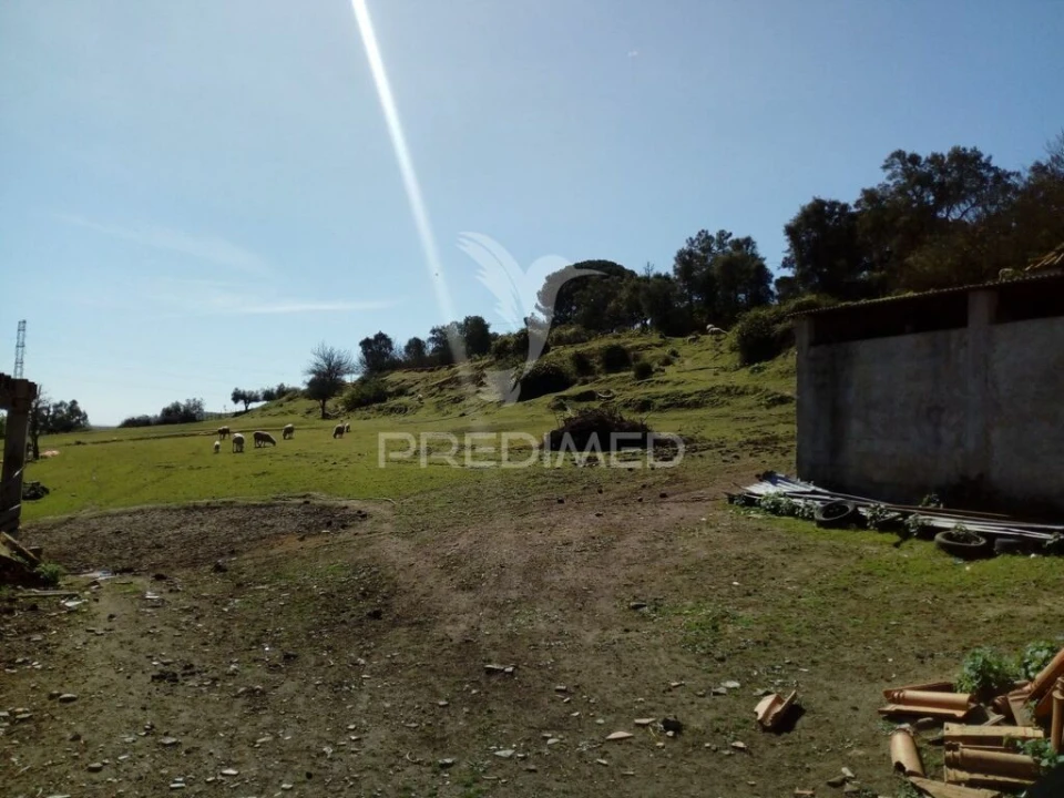 Quinta T2 para Venda em Povoa da Isenta Foto 19