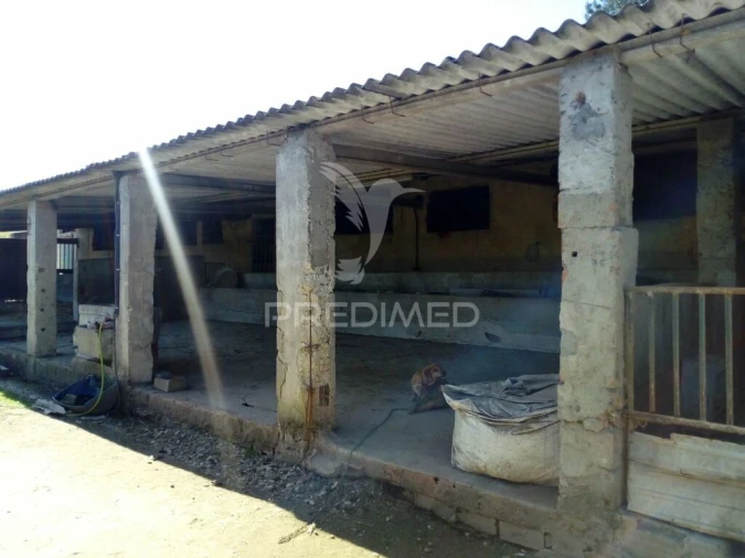 Quinta T2 para Venda em Povoa da Isenta Foto 16