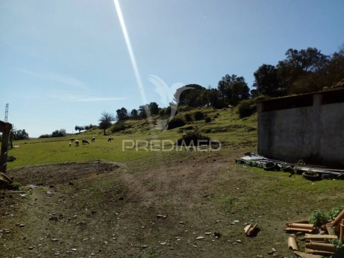 Quinta T2 para Venda em Povoa da Isenta Foto 19