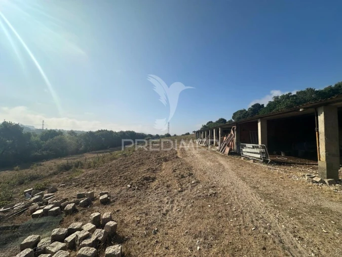 Quinta T2 para Venda em Povoa da Isenta Foto 15