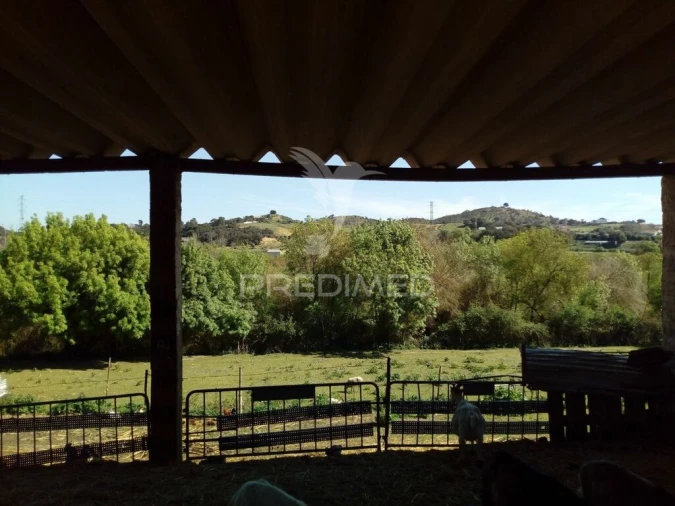 Quinta T2 para Venda em Povoa da Isenta Foto 7