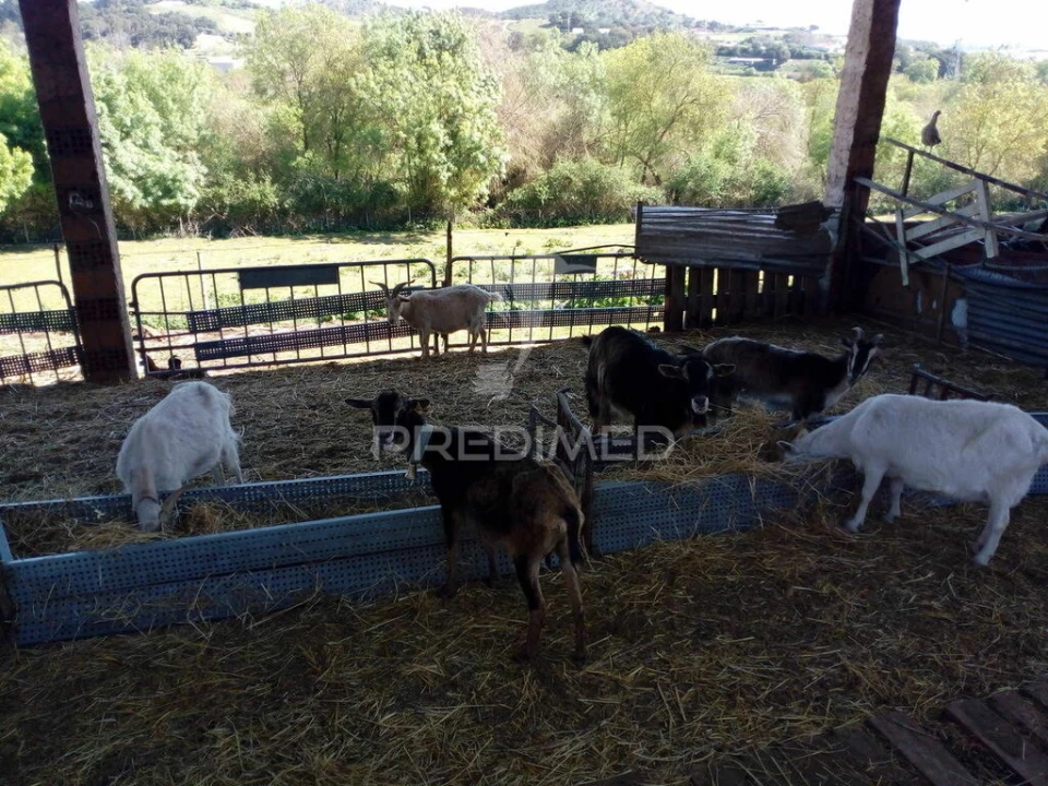 Quinta T2 para Venda em Povoa da Isenta Foto 1