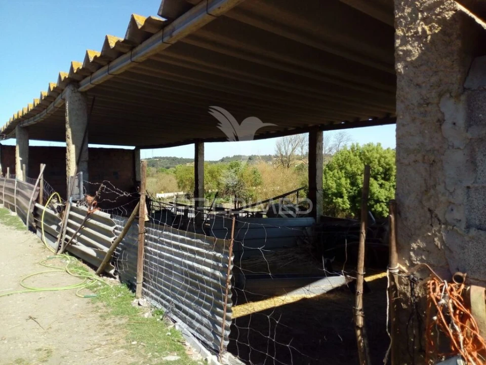 Quinta T2 para Venda em Povoa da Isenta Foto 6