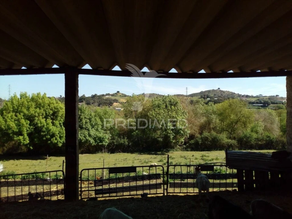 Quinta T2 para Venda em Povoa da Isenta Foto 7