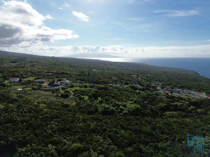 Terreno para Venda em Santo Antonio Foto 11