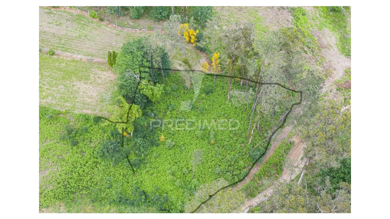 Terreno para Venda em Gême Foto 2