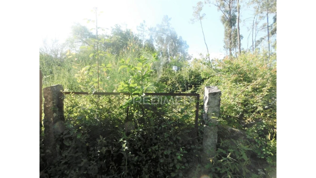 Terreno para Venda em Gême Foto 7