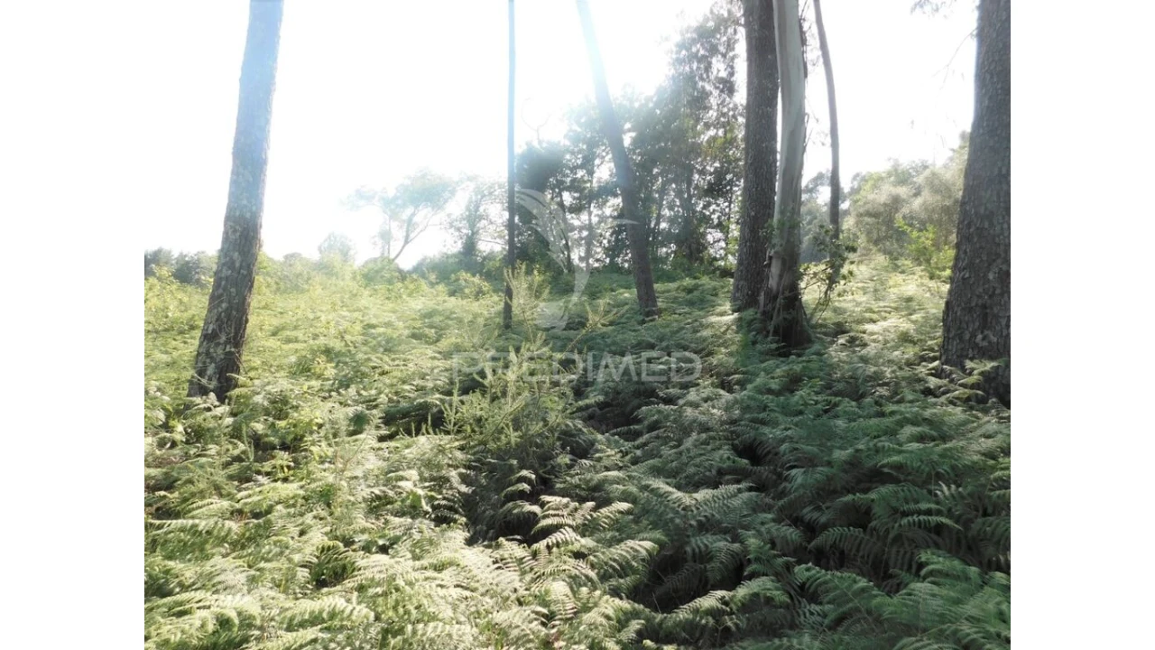 Terreno para Venda em Gême Foto 9