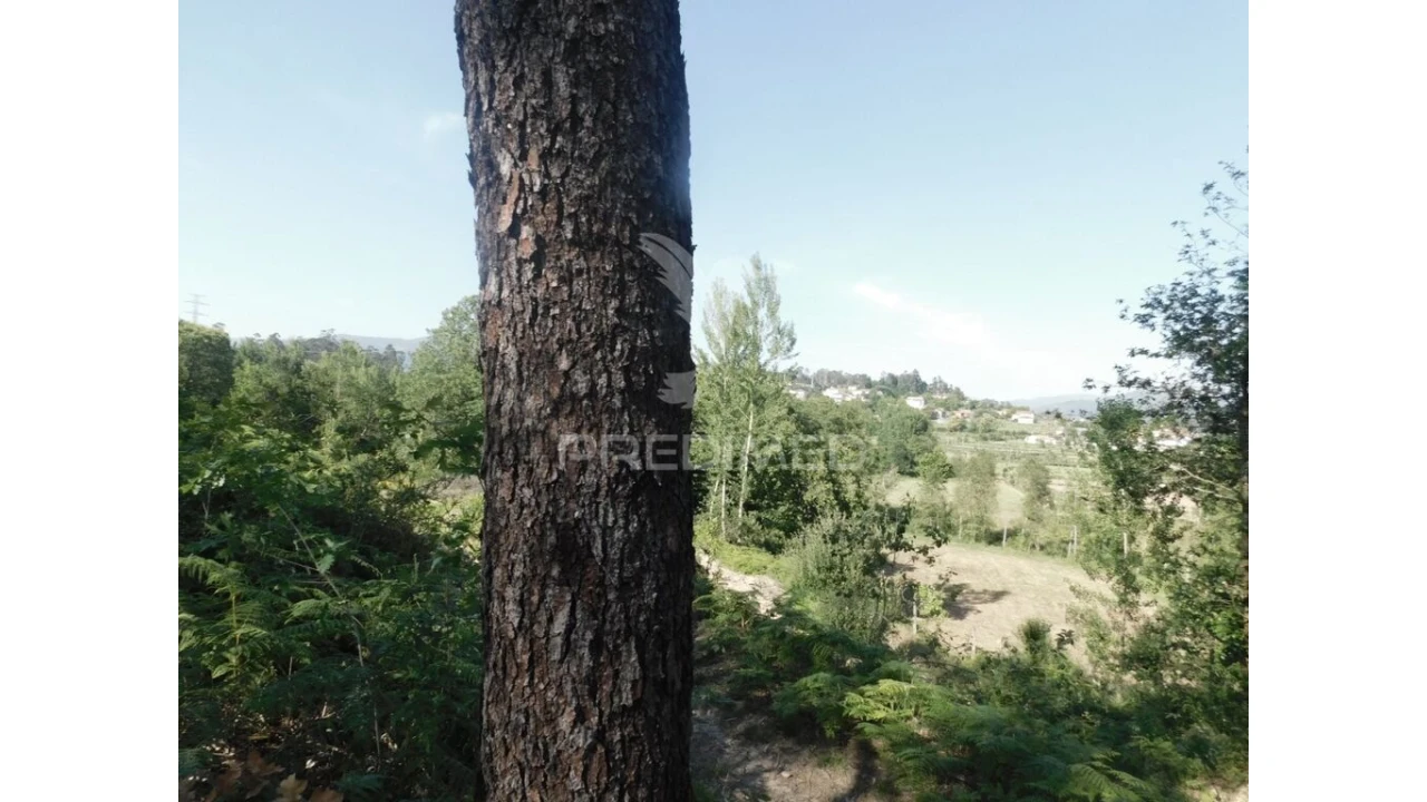 Terreno para Venda em Gême Foto 8