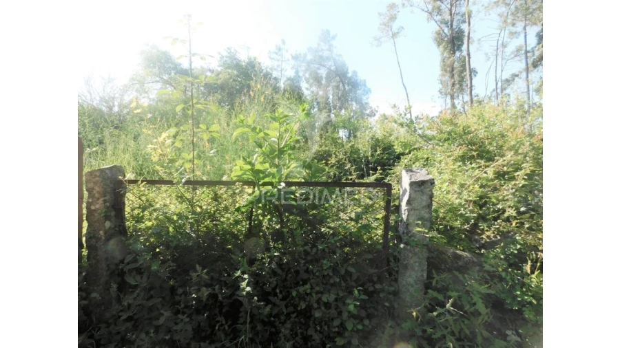 Terreno para Venda em Gême Foto 7