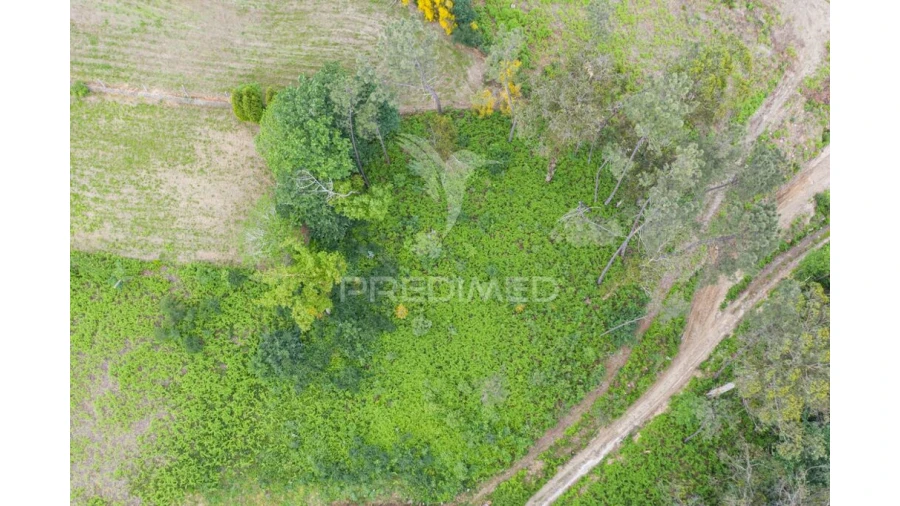 Terreno para Venda em Gême