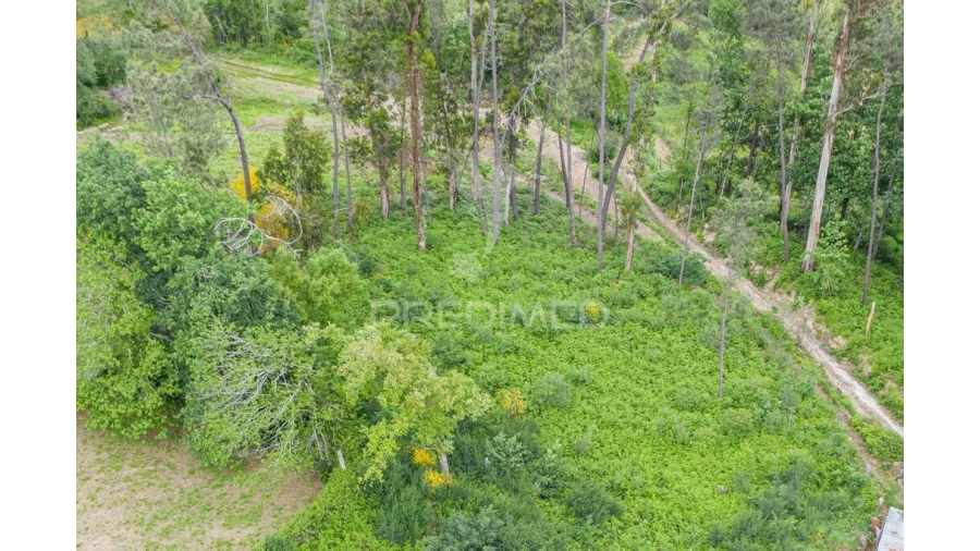 Terreno para Venda em Gême Foto 3