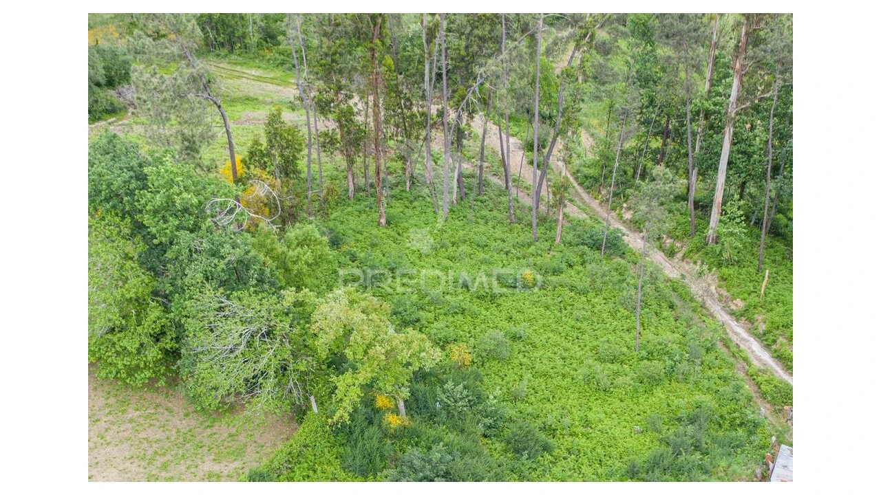 Terreno para Venda em Gême Foto 3