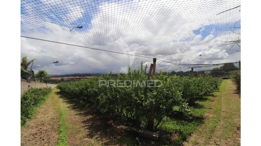 Quinta para Venda em Turiz Foto 13