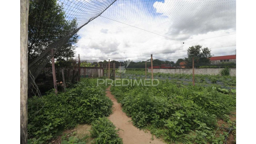 Quinta para Venda em Turiz Foto 12