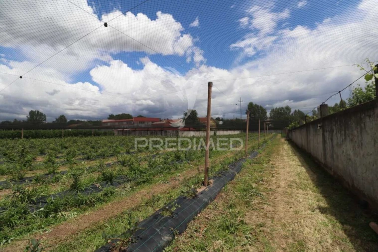 Quinta para Venda em Turiz Foto 7