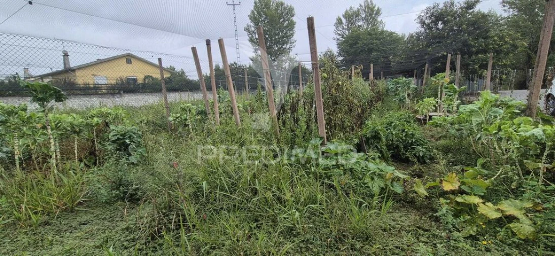 Quinta para Venda em Turiz Foto 3