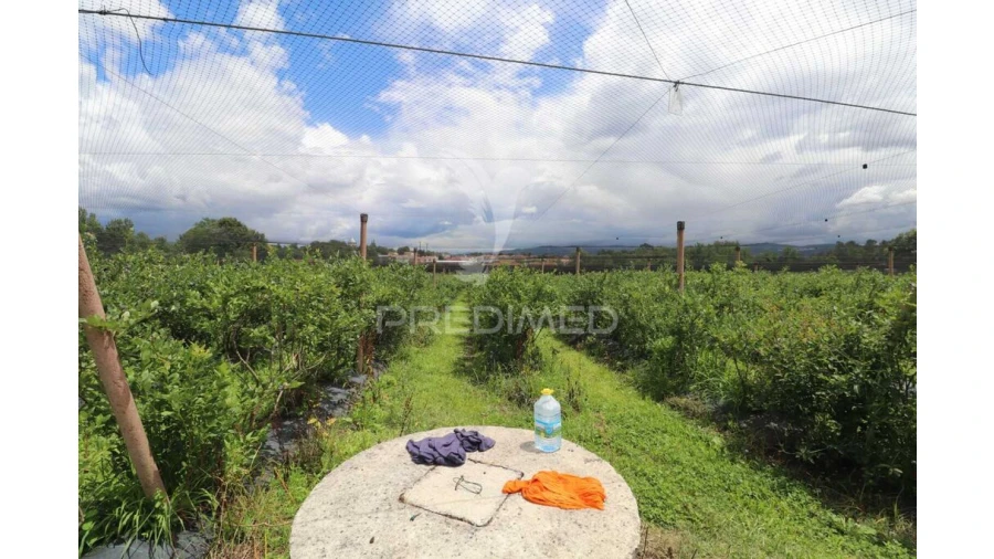 Quinta para Venda em Turiz Foto 19
