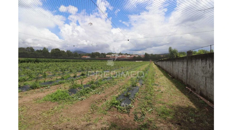 Quinta para Venda em Turiz Foto 15