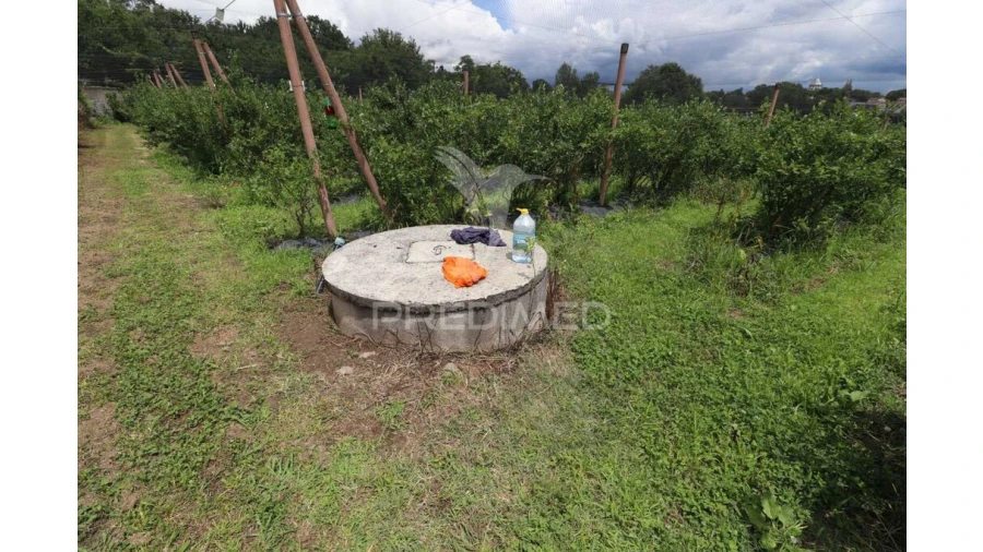 Quinta para Venda em Turiz Foto 18