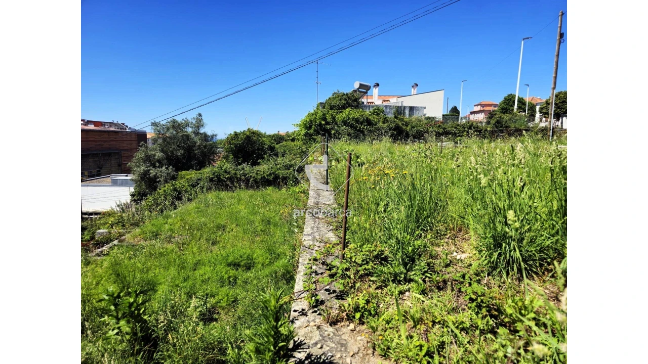 Terreno para Venda em Subportela, Deocriste e Portela Susã Foto 10