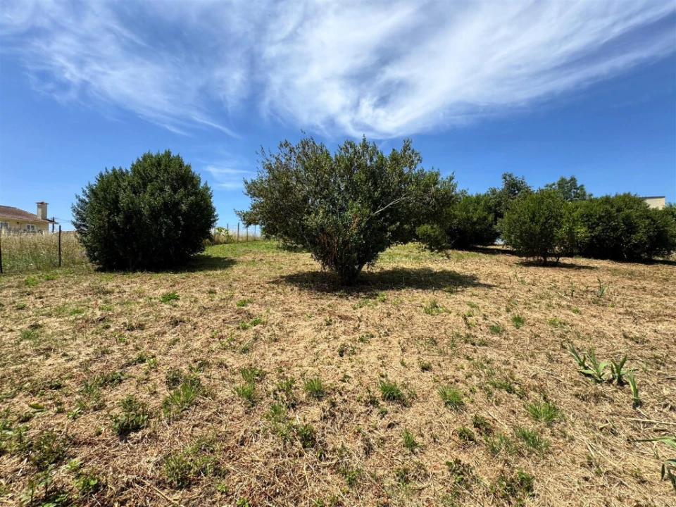 Terreno para Venda em Santo Antonio dos Olivais Foto 3
