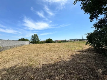 Terreno para Venda em Santo Antonio dos Olivais