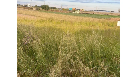 Terreno para Venda em Aver-O-Mar, Amorim e Terroso