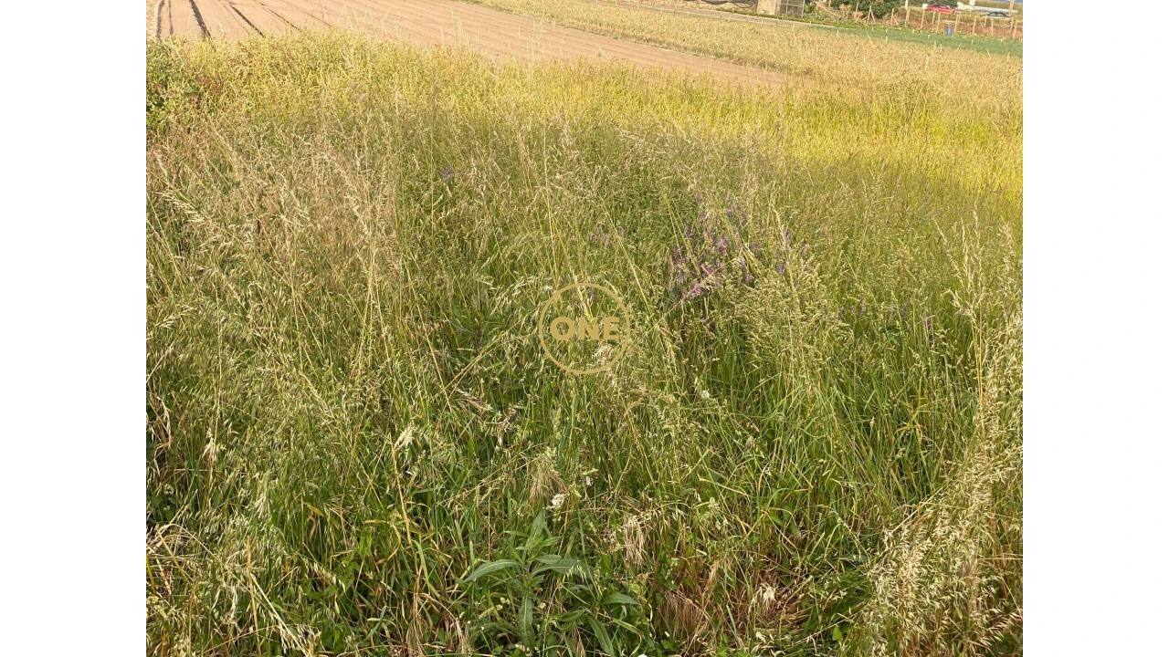 Terreno para Venda em Aver-O-Mar, Amorim e Terroso Foto 5