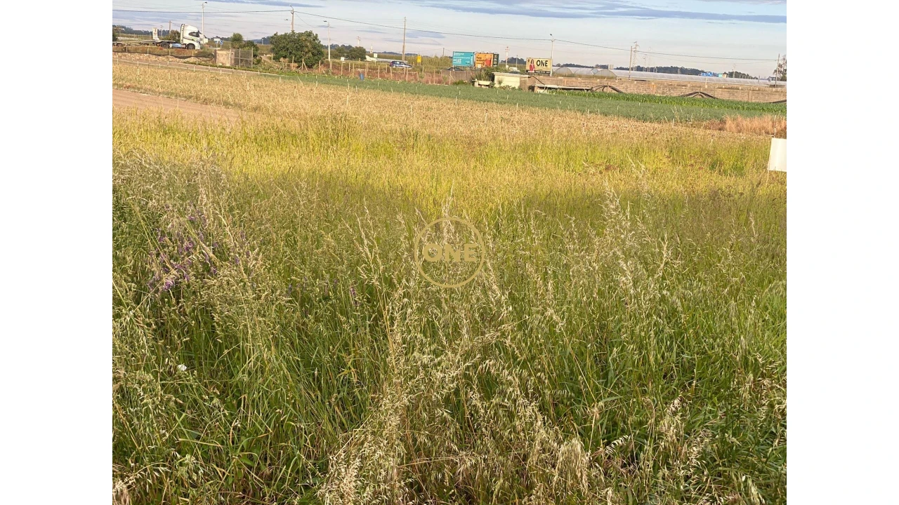 Terreno para Venda em Aver-O-Mar, Amorim e Terroso Foto 4
