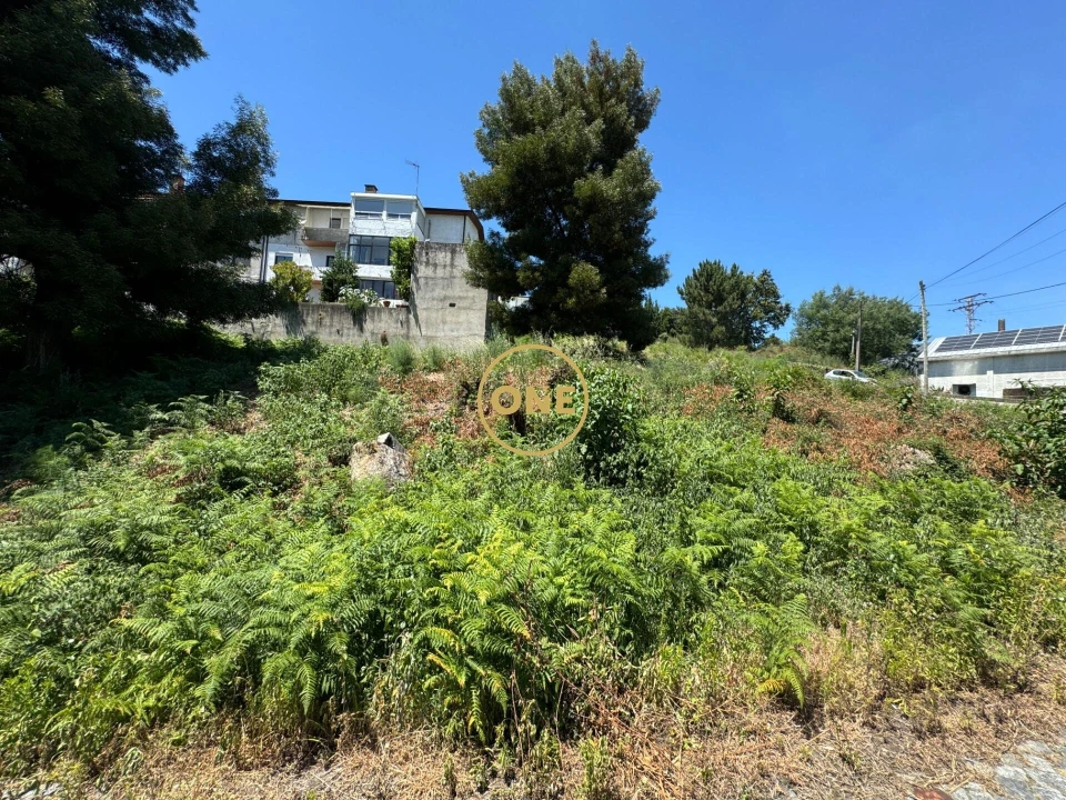 Terreno para Venda em Oliveira (São Mateus) Foto 13