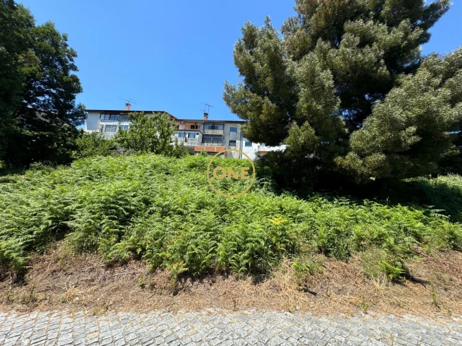 Terreno para Venda em Oliveira (São Mateus) Foto 9