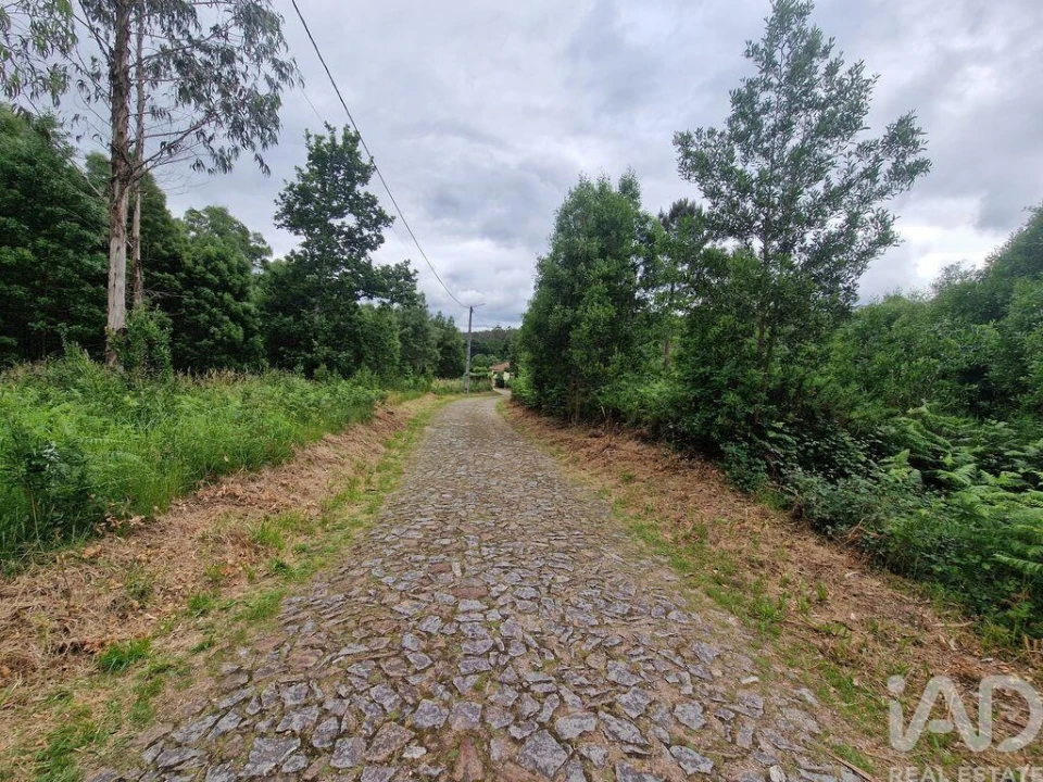 Terreno para Venda em São Pedro de Arcos Foto 16