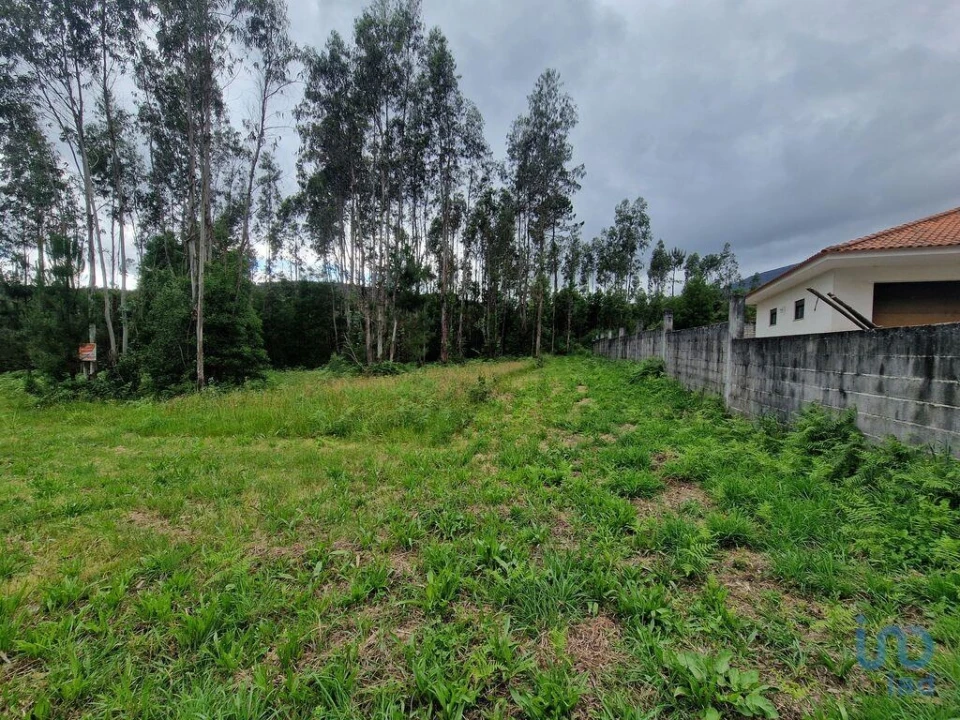 Terreno para Venda em São Pedro de Arcos Foto 7