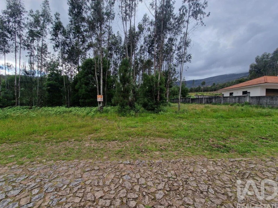 Terreno para Venda em São Pedro de Arcos Foto 18